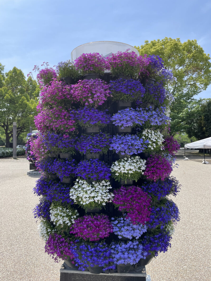 青と紫と白の花のタワー