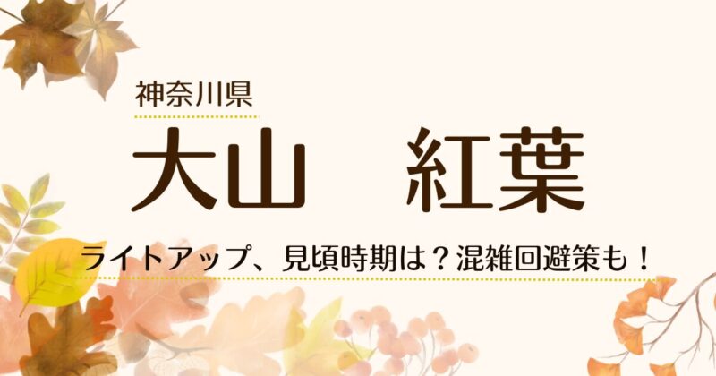 大山紅葉、ライトアップ、見頃時期、混雑回避策の文字