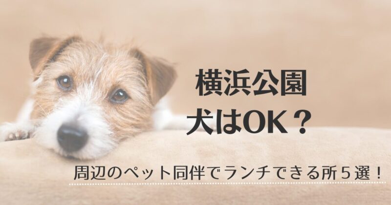 横浜公園、犬はOK？、周辺犬同伴ランチの文字