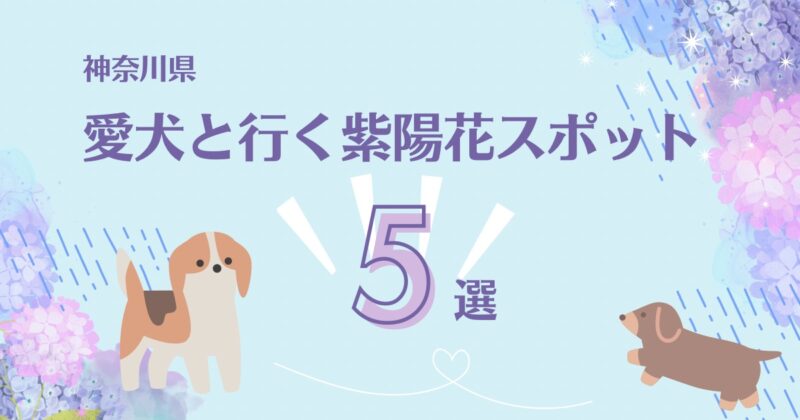 神奈川県、愛犬と行く紫陽花スポット5選の文字