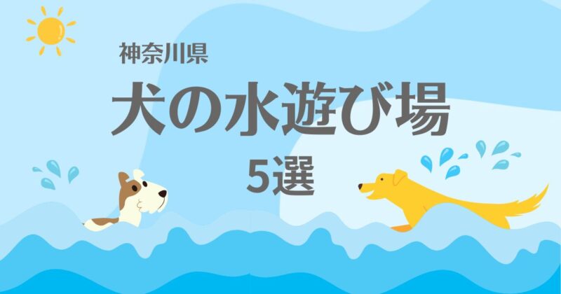 水遊びをしている２匹の犬のイラストと、神奈川県、犬の水遊び場５選の文字